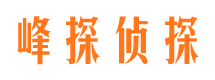 宁城侦探公司